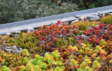 the cost of Woolpack Corner green roof installation