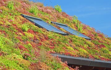 Woolpack Corner living roof systems