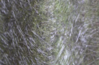 Woolpack Corner fibreglass roof work